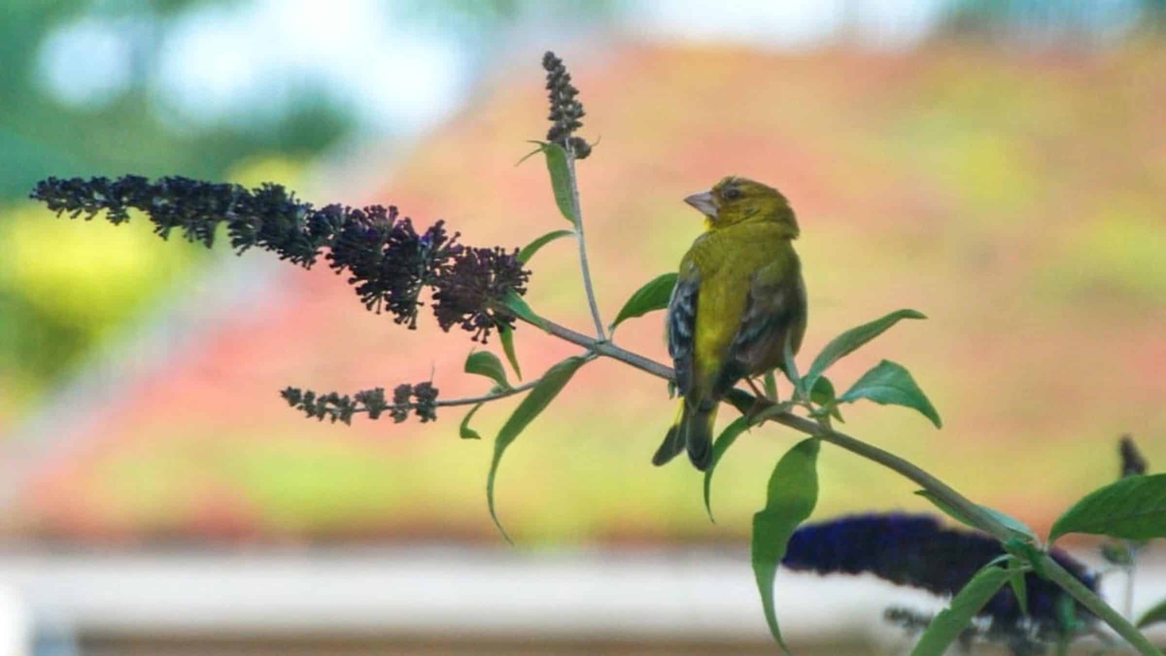 Un edificio rebosante de vida