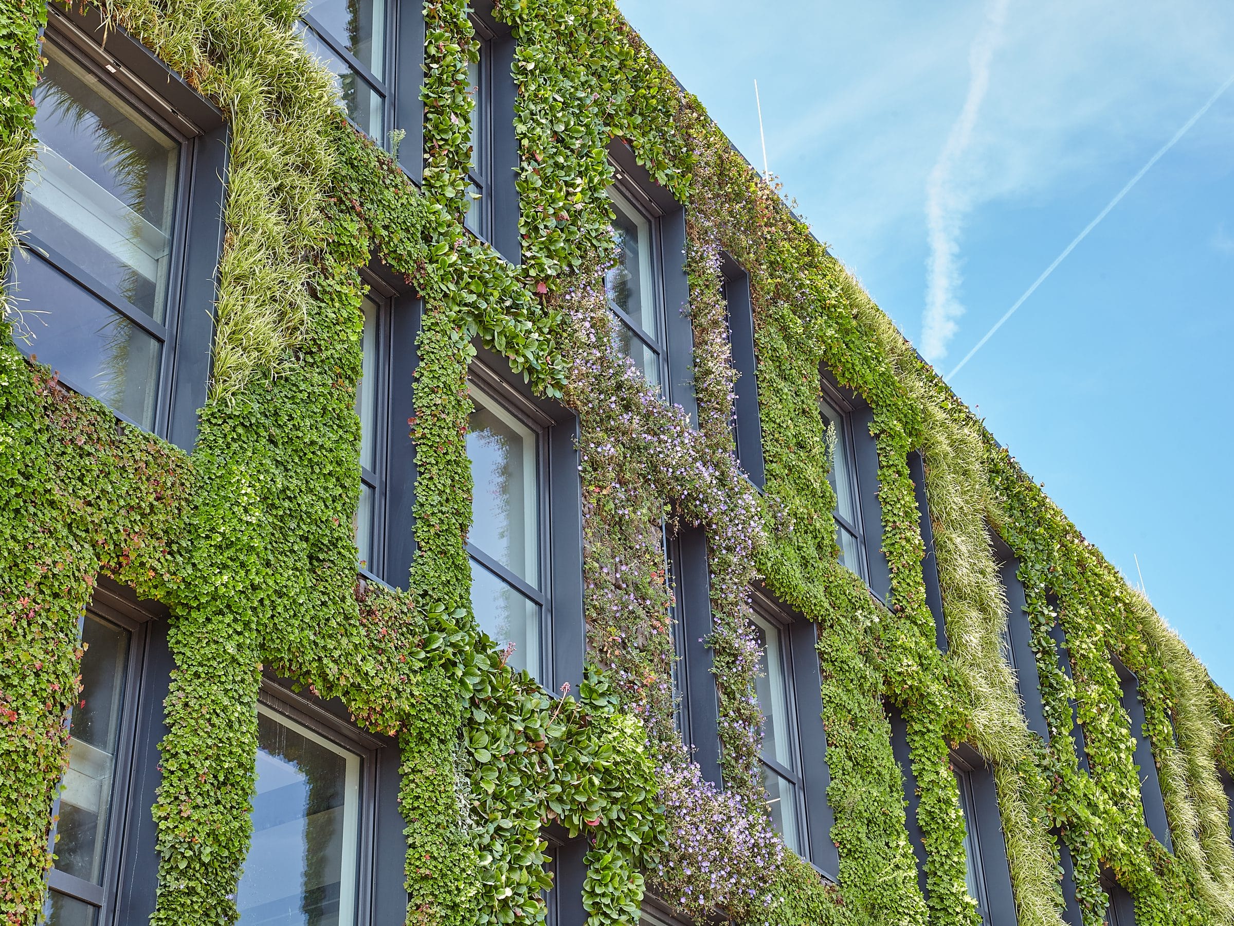 Renovating wit a green facade