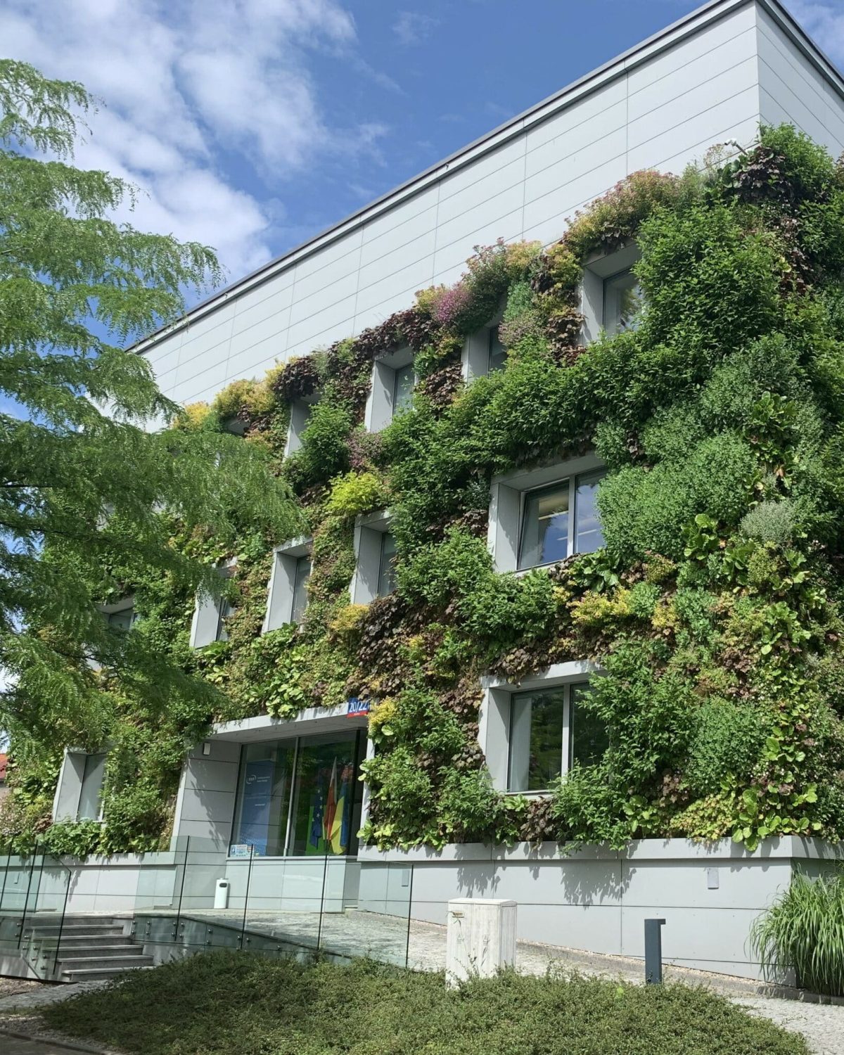 green renovation FNP Warschau