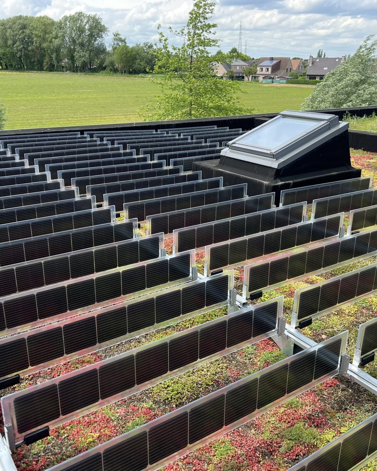 green renovation sustainable solutions over easy solar