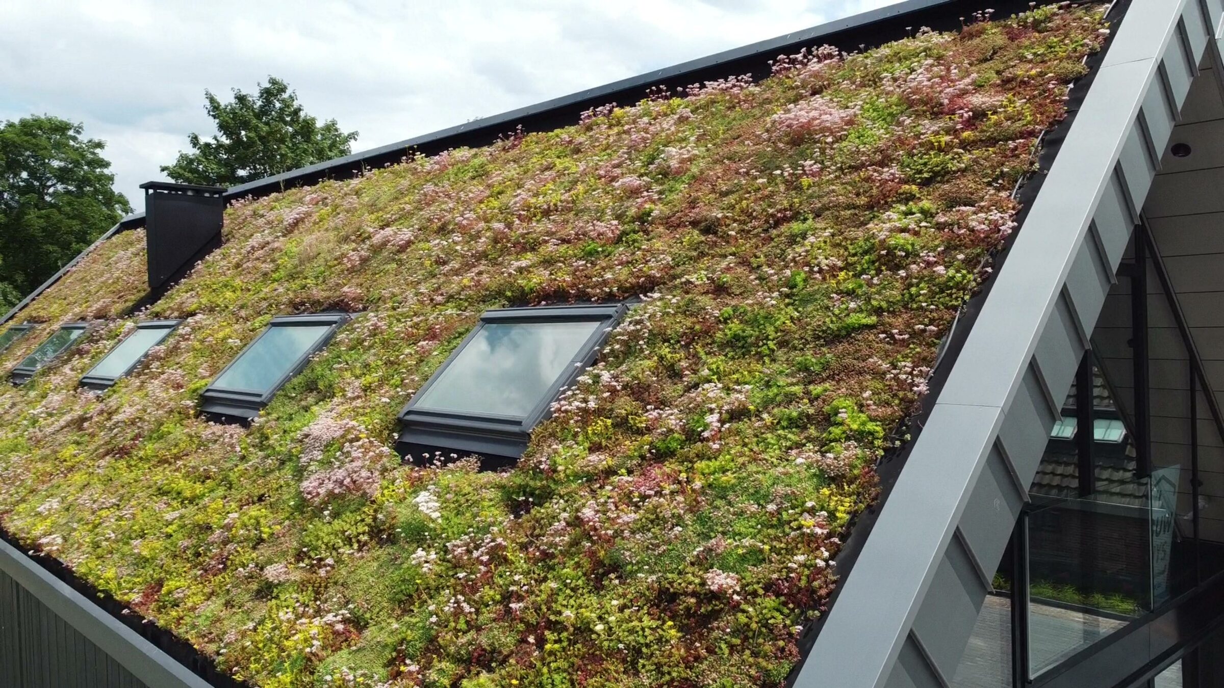 sempergreen techniczna strona zielonej renowacji