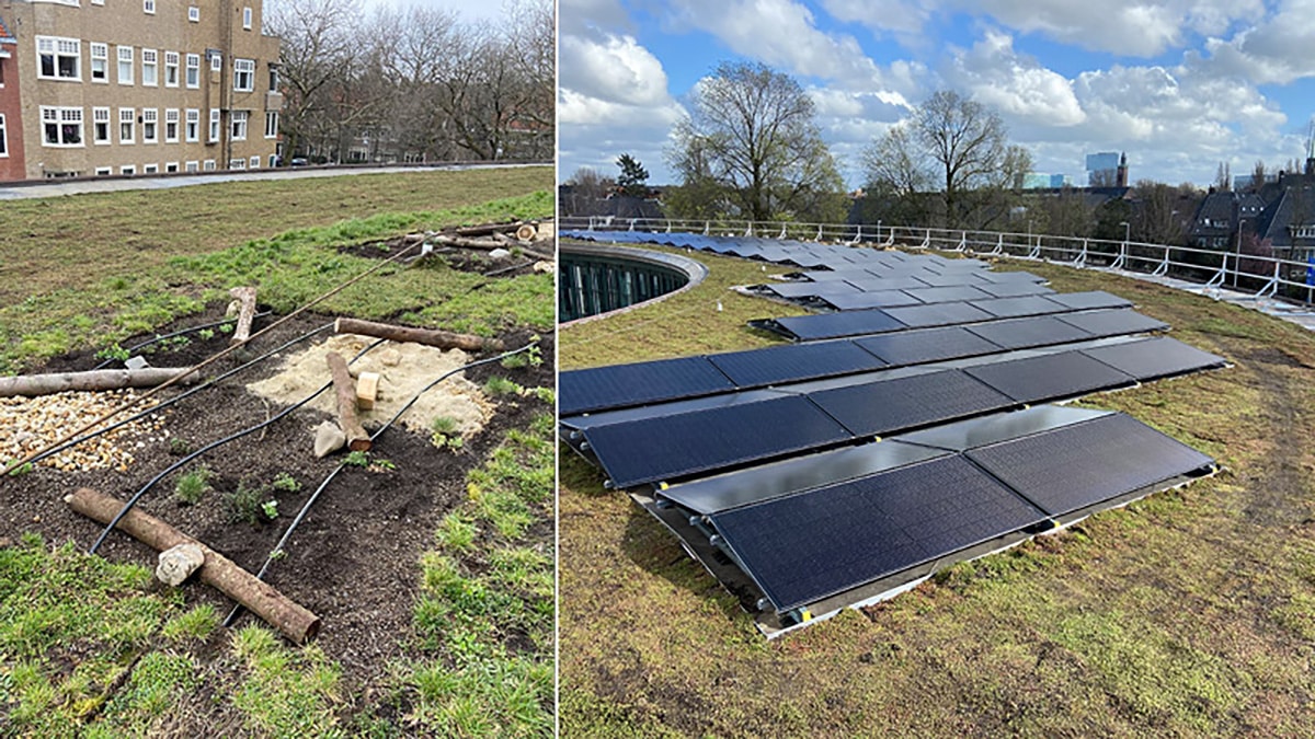 Sempergreen Apollohouse Amsterdam