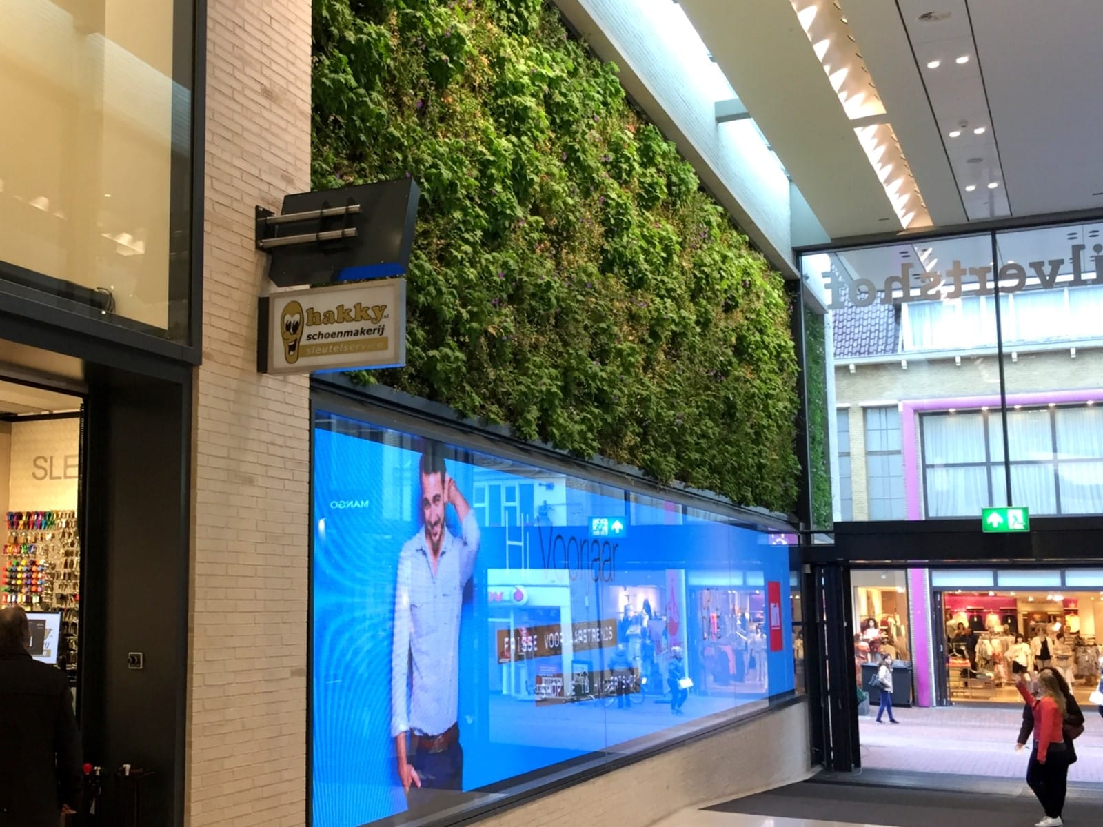 Sempergreen green renovation hilversum