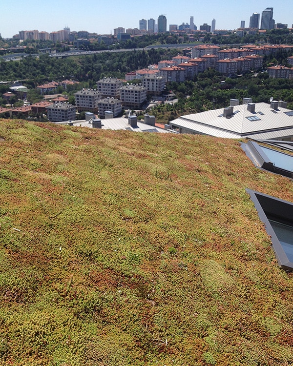 Sempergreen Green Roof Istanbul