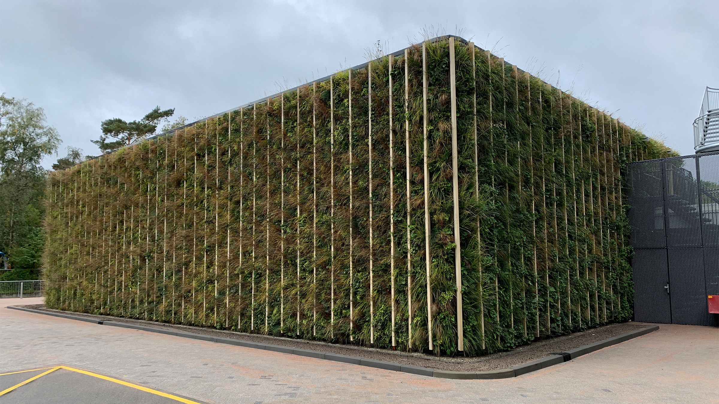 Sempergreen living wall Apeldoorn Radiotherapygroup 4