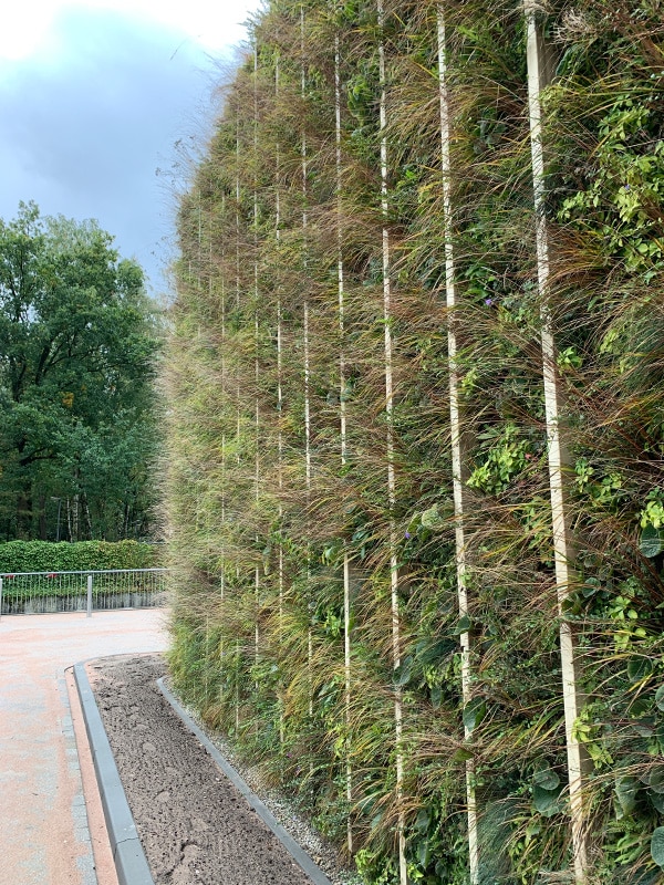 Sempergreen living wall Apeldoorn Radiotherapygroup