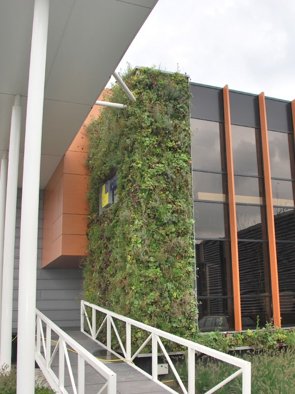 Sempergreen living wall Roma Raamsdonksveer bridge