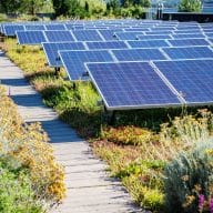 Sempergreen Footprint