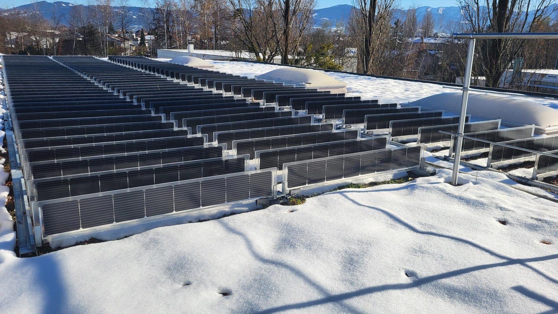 Sempergreen Techos verdes solares invierno