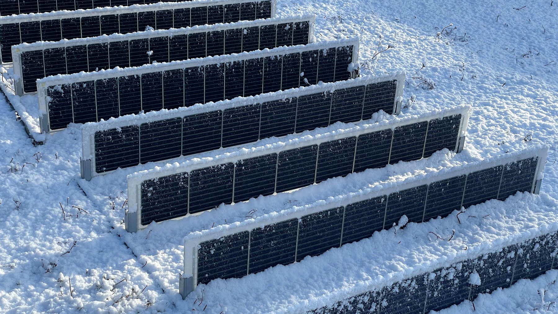 Sempergreen Solar: paquete de invierno para cubiertas verdes