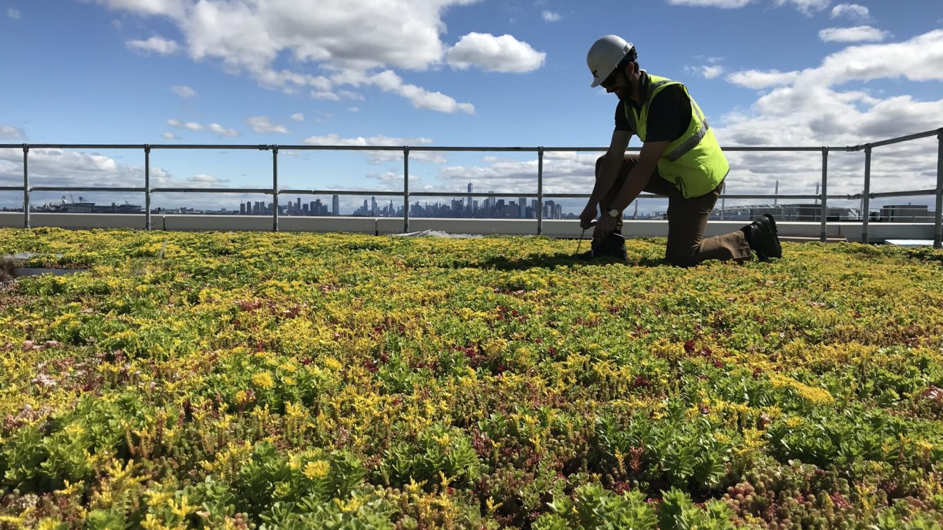 technical side green renovation banner