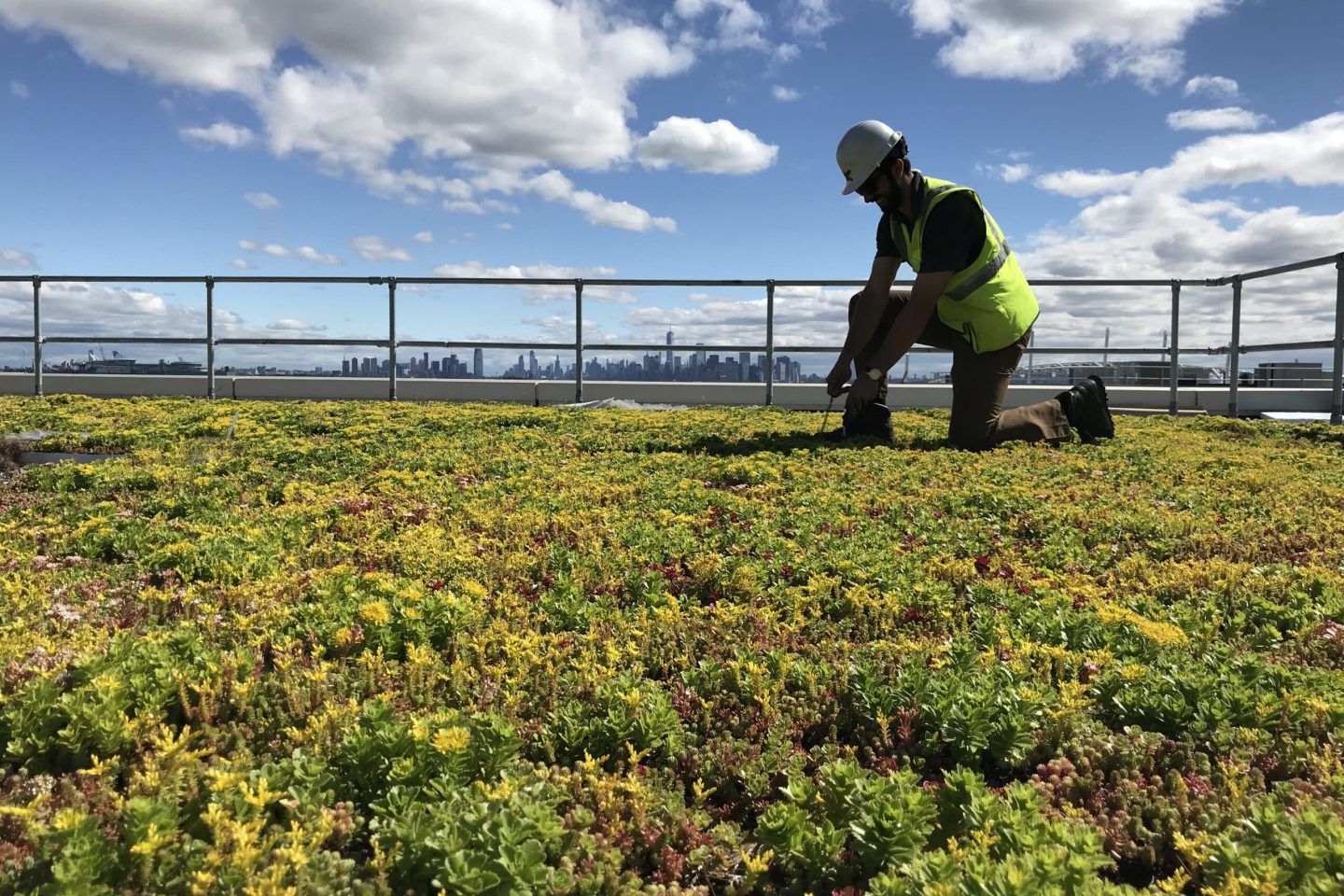 technical side green renovation banner