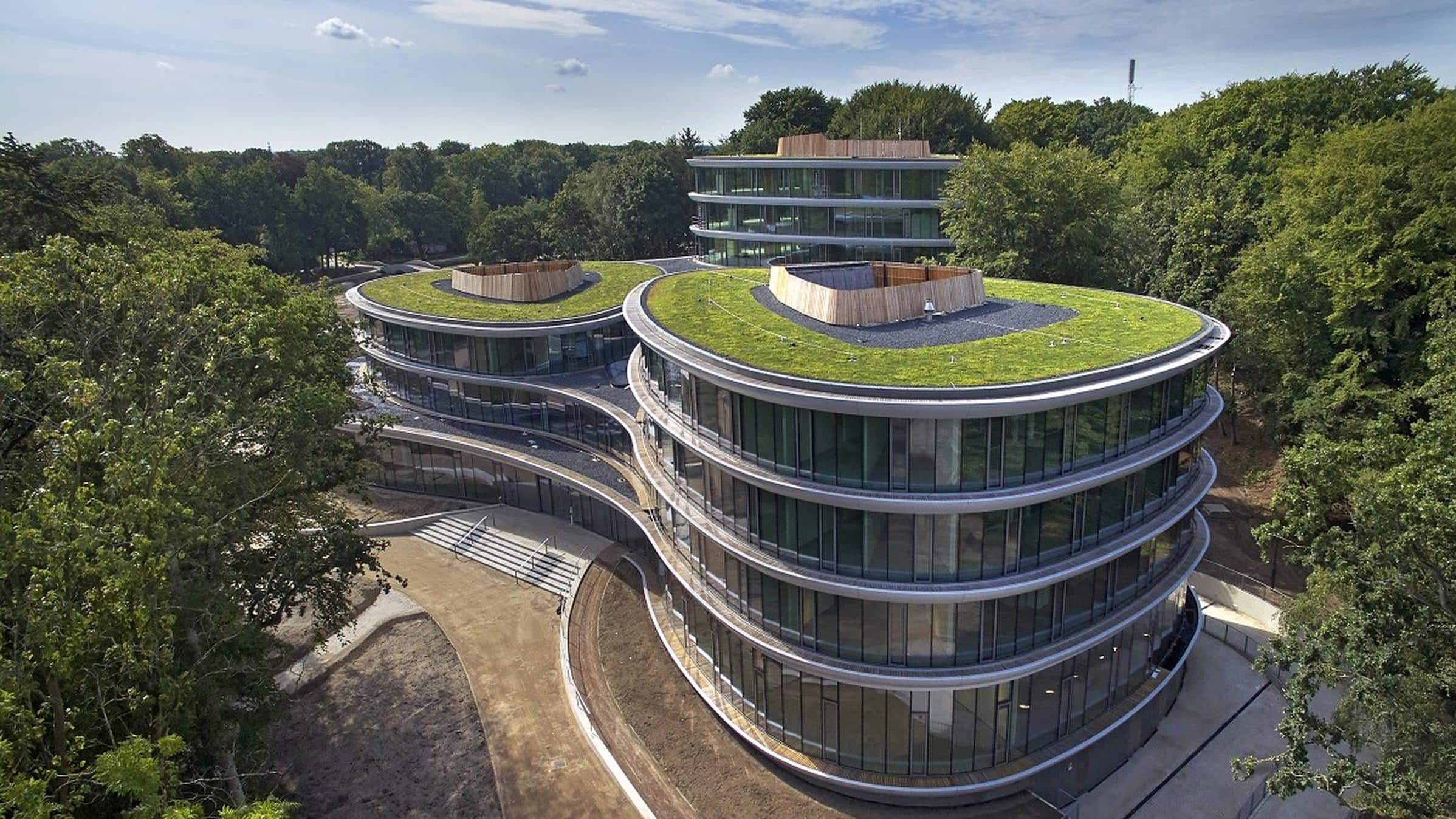 technical side green renovation flat green roof