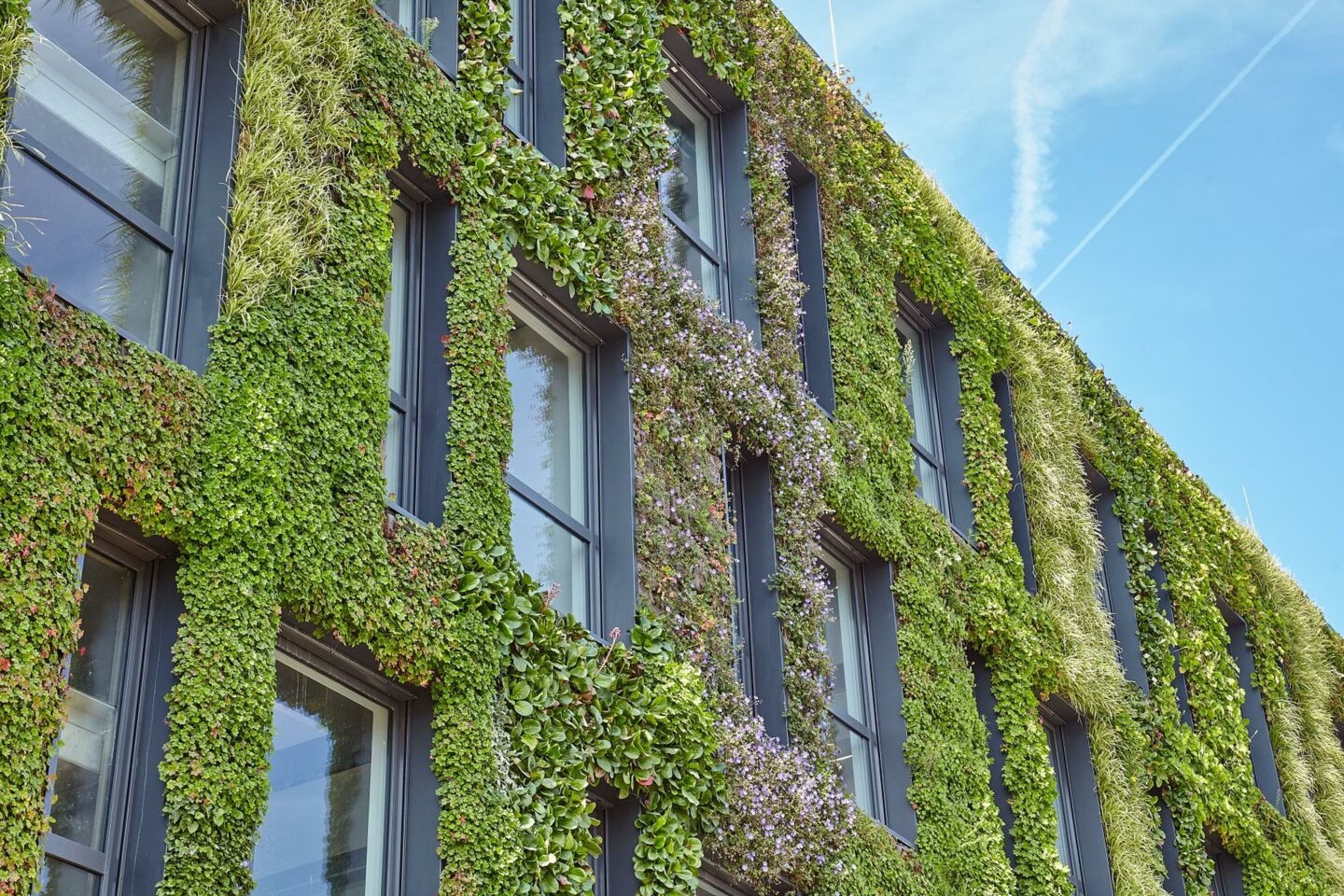 sempergreen sustainable renovation green wall