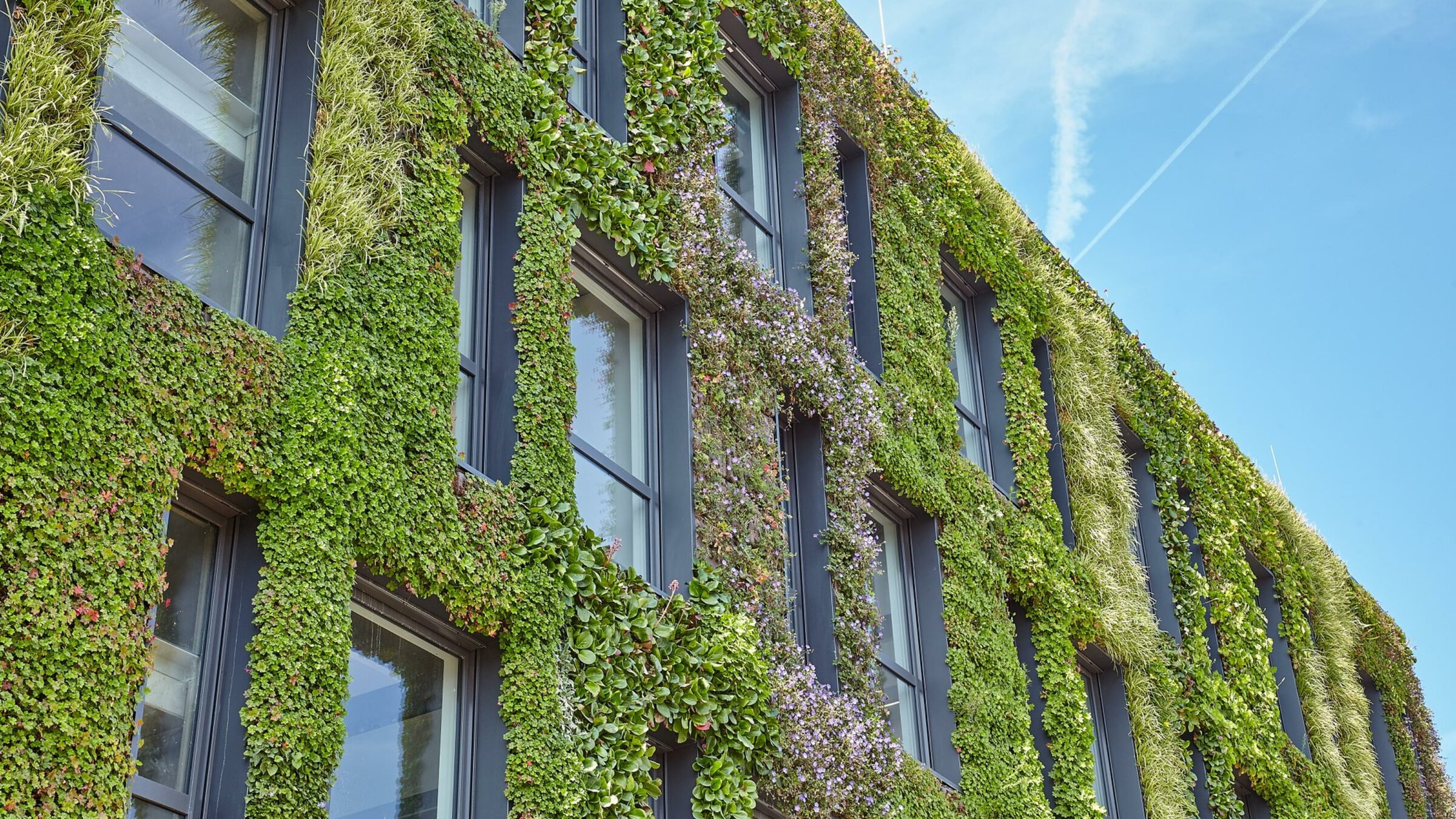 sempergreen zrównoważona renowacja zielona ściana