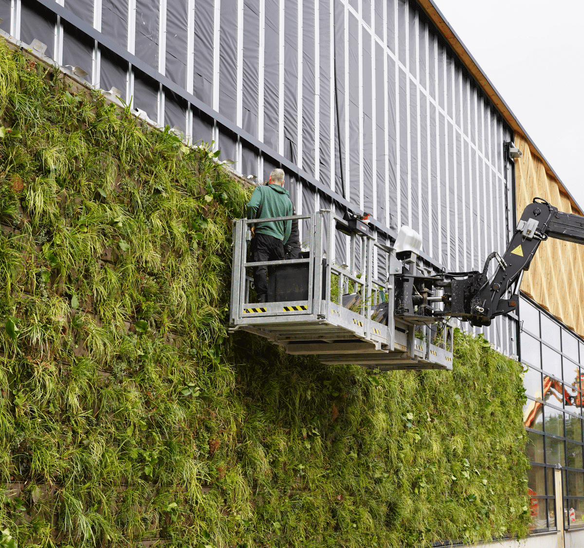 green renovation sustainable solutions banner