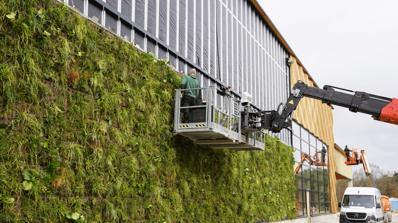 green renovation sustainable solutions banner