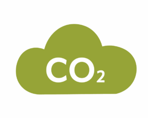230 kg CO₂ absorption per year