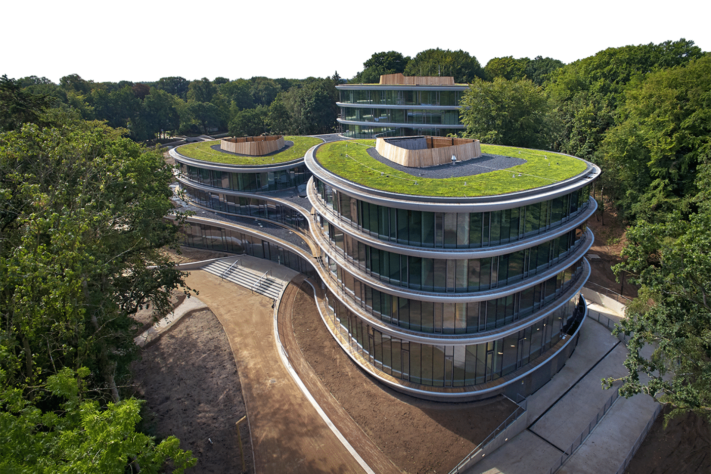 Sempergreen green roof